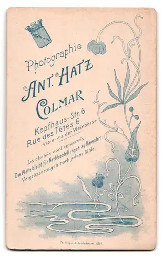 Fotografie Ant. Hatz, Colmar, Kopfhausstr. 6, Portrait Herr mit Schnauzbart im Anzug