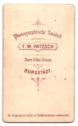 Fotografie F. W. Patzsch, Burgstädt, Obere Silber-Str., Portrait Frau im Kleid mit Kreuz Kette und Ohrringen