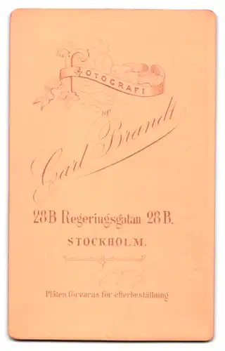 Fotografie Carl Brandt, Stockholm, Regeringsgaten 28 B, Portrait stattlicher Herr im Mantel mit Krawatte