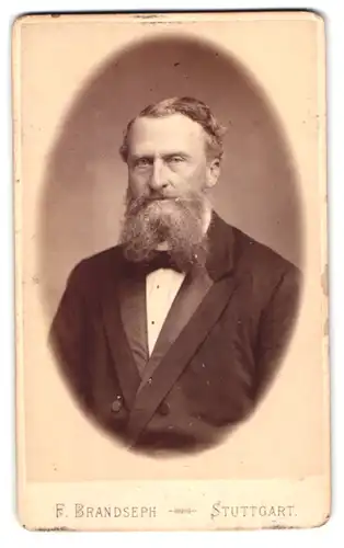 Fotografie F. Brandseph, Stuttgart, Marienstrasse 36, Portrait älterer Herr im Anzug mit Bart