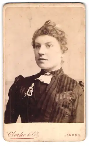 Fotografie Clerke & Co., London-Stamford Hill, 15, High Street, Portrait junge Dame mit hochgestecktem Haar