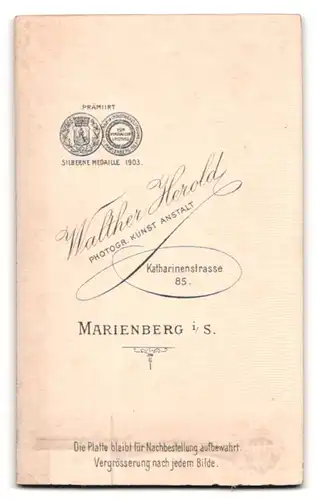 Fotografie Walther Herold, Marienberg, Knabe nebst Sitzgelegenheit