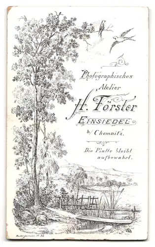 Fotografie H. Förster, Einsiedel, Junger Mann mit gestreifter Hose