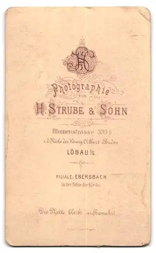 Fotografie H. Strube & Sohn, Löbau i. S., Blumenstrasse 339, Dame mit Spitzenkragen