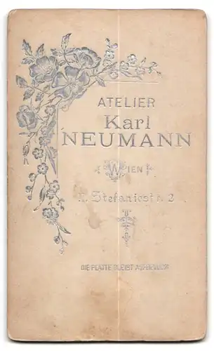 Fotografie Neumann, Wien, Stefaniestrasse 2, Fräulein mit Puffärmeln