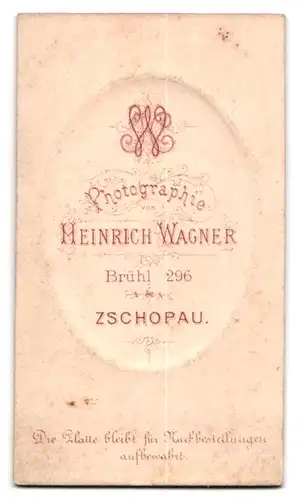 Fotografie Heinrich Wagner, Zschopau, Brühl 296, Dame mit weissem Kragen