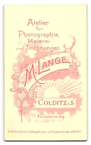 Fotografie M. Lange, Colditz i. S., Fürstenweg, Portrait Kleinkind im weissen Kleid auf einem Fell sitzend