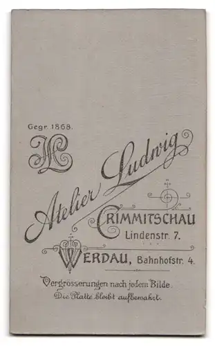 Fotografie H. A. Ludwig, Crimmitschau, Lindenstr. 7, Portrait Frau im Biedermeierkleid mit Brille