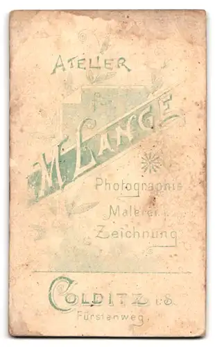 Fotografie M. Lange, Colditz i. S., Fürstenweg, Portrait zwei Kinder in Kleidern mit Locken