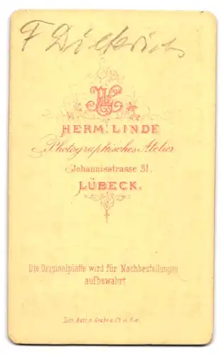 Fotografie Herm. Linde, Lübeck, Johannisstrasse 31, Junger Mann mit Anzug und Fliege