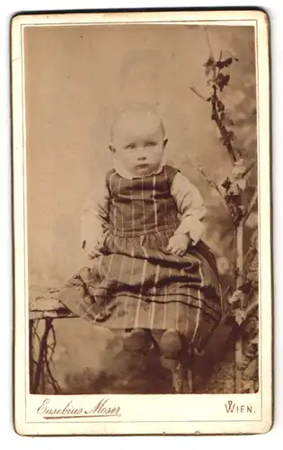 Fotografie Eusebius Moser, Wien, Gumpendorferstr. 161, Baby im dunklen Kleid auf einer Holzstamm-Bank