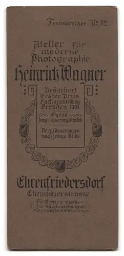 Fotografie Heinrich Wagner, Ehrenfriedersdorf, Chemnitzerstr., Portrait Dame im Kleid mit Hochsteckfrisur