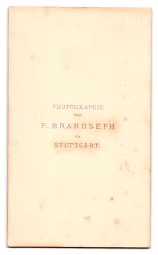 Fotografie Fr. Brandseph, Stuttgart, Portrait junger Mann im Anzug mit Fliege und Seitenscheitel