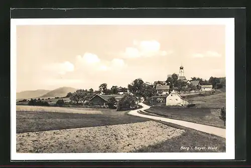 AK Berg i. Bayer. Wald, Ortspartie