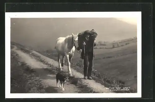 AK A lakeland Shepherd, Hirte mit Pferd und Hund