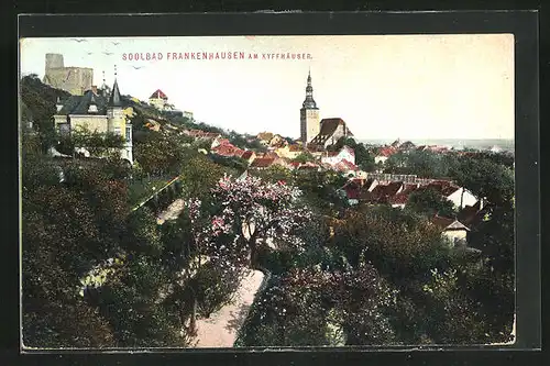 AK Frankenhausen a. Kyffh., Hänge der Oberstadt