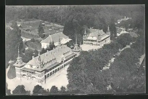 AK Alexisbad /Harz, Totalansicht aus der Vogelschau