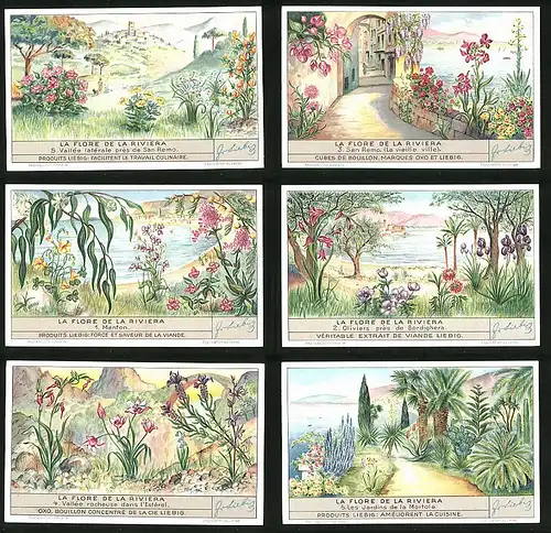 6 Sammelbilder Liebig, Serie Nr. 1354: La Flore de la Riviera, Blumen, Pflanzen, San Remo, Mortola