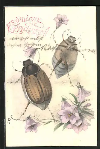 Künstler-AK Maikäfer winken mit Glockenblumen, Pfingstgruss