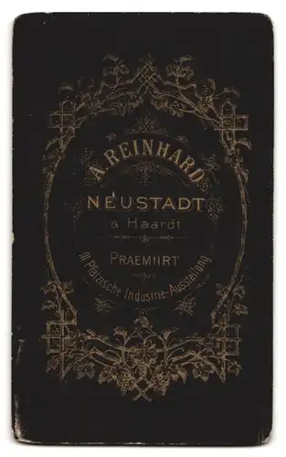 Fotografie A. Reinhard, Neustadt a. Haardt, Portrait Brünette Dame mit Halskette & Anhänger