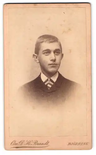 Fotografie Cai D. H. Brandt, Hjörring, Östergade, Portrait Knabe im Anzug