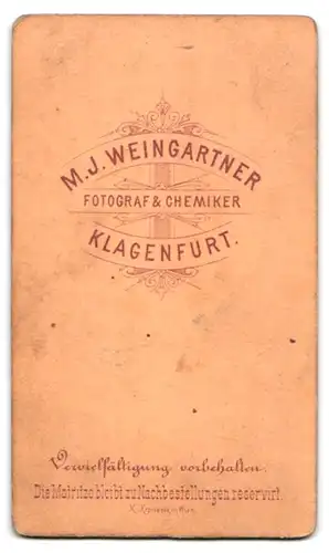 Fotografie M.J. Weingartner, Klagenfurt, Portrait beleibte Hausfrau im Sonntagskleid mit Schmuck