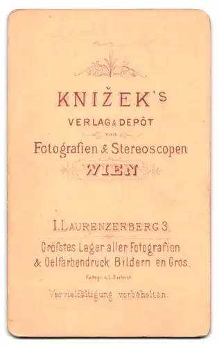 Fotografie Knizek, Wien, I. Laurenzenberg 3, Portrait Mann mit Fliege und toupierten Haaren