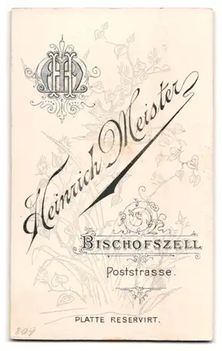 Fotografie Heinrich Meister, Bischofszell, Poststr., Portrait Dame im Kleid mit Hochsteckfrisur