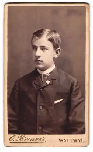 Fotografie E. Brunner, Wattwyl, bei der Brücke, Portrait junger Mann im Anzug mit Schweizer Anstecker