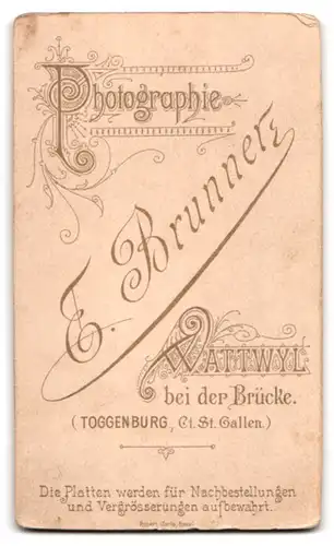 Fotografie E. Brunner, Wattwyl, bei der Brücke, Portrait junger Mann im Anzug mit Schweizer Anstecker