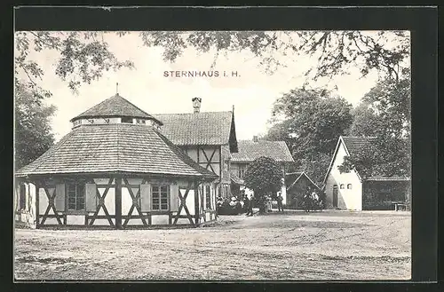 AK Sternhaus i. H., Ortspartie mit Pferdewagen