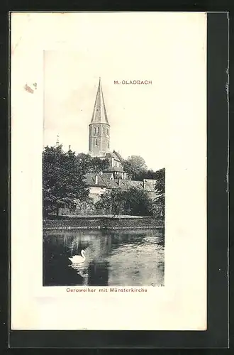 AK M.-Gladbach, Geroweiher mit Münsterkirche und Schwan