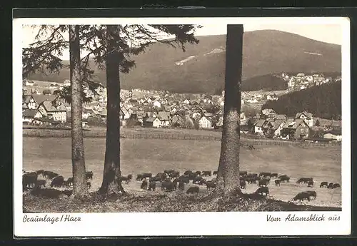 AK Braunlage /Harz, Vom Adamsblick aus gesehen