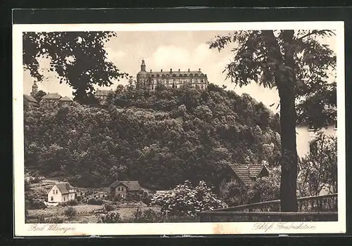 AK Bad Wildungen, Schloss Friedrichstein
