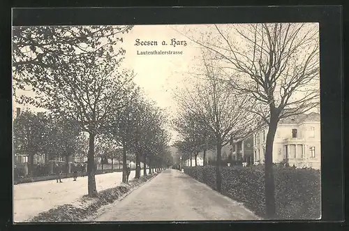 AK Seesen / Harz, Blick in die Lautenthalerstrasse