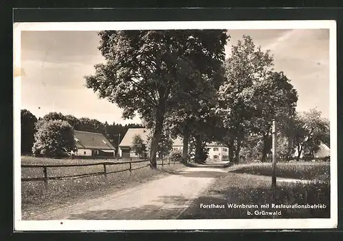 AK Grünwald / Isartal, Gasthaus Forsthaus Wörnbrunn