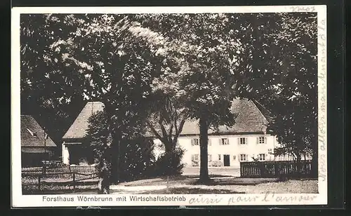 AK Grünwald / Isartal, Gasthaus Forsthaus Wörnbrunn