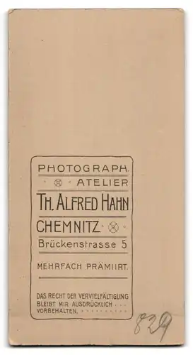 Fotografie Th. Alfr. Hahn, Chemnitz, Brückenstr. 5, Portrait schönes Fräulein mit grosser Schleife im Haar