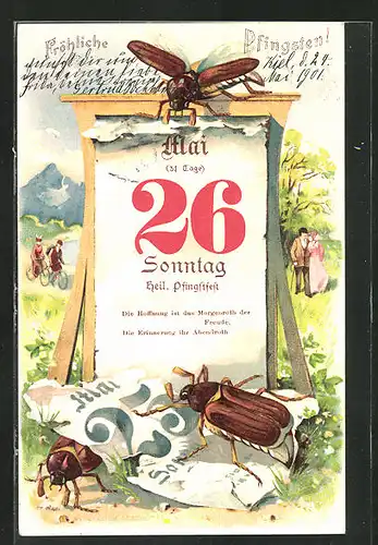 AK Maikäfer krabbeln auf einem Kalender, Pfingstgruss