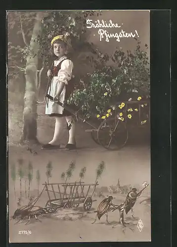 AK Maikäfer mit Wagen, kleines Blumenmädchen, Pfingstgruss