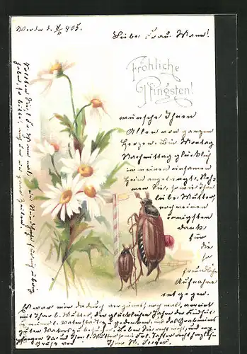 AK Maikäfer auf Wanderschaft, Pfingstgruss