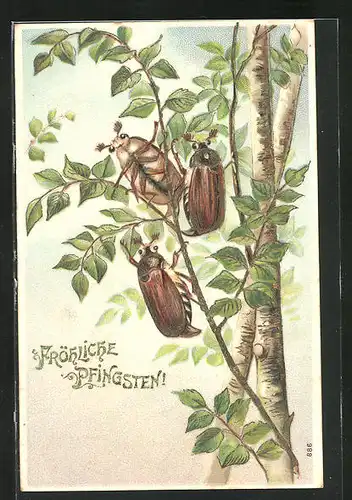 AK Pfingstgruss, Maikäfer im Geäst eines jungen Baumes sitzend