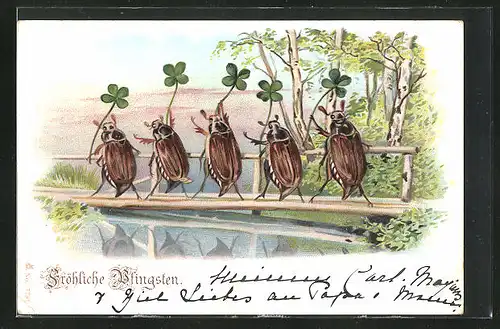 AK Maikäfer marschieren mit Vierblattklee auf einer kleinen Flussbrücke