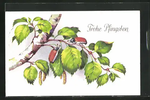 AK Maikäfer klettern auf einem Ast hoch, Pfingstgrüsse