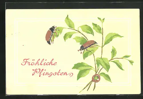 Präge-AK Maikäfer klettern auf einen kleinen Ast hoch