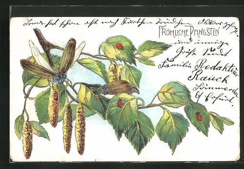 Präge-AK Maikäfer fliegen auf einen kleinen Ast mit grünen Blättern