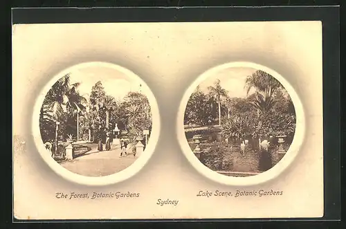 AK Sydney, The Forest, Lake Screne, Botanic Gardens