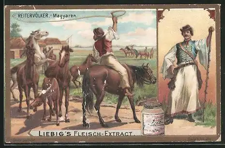 Sammelbild Liebig`s Fleisch-Extrakt, Reitervölker, Magyaren, Mann in Tracht, einfangen der Pferde