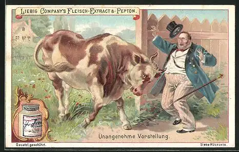 Sammelbild Liebig`s Fleisch-Extrakt und Pepton, Unangenehme Vorstellung, Mann mit wildem Bullen