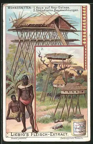 Sammelbild Liebig`s Fleisch-Extract, Wohnstaetten, Haus auf Neu-Guinea, Südindische Baumwohnungen